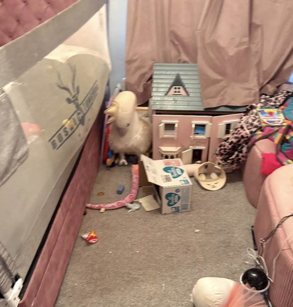 Children&rsquo;s bedroom tidy and clean before Crystal Cleaners cleaned it